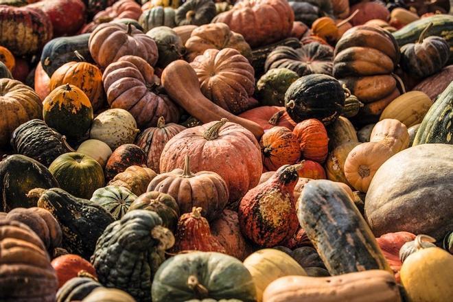 Gastronomía Friburgo Suiza verduras