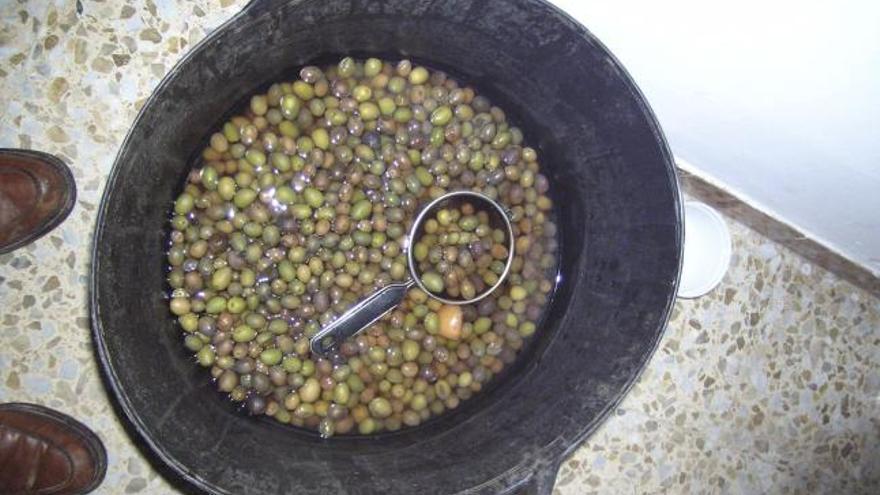Manolo Fermoselle con una muestra de olivas «sabrosadas».