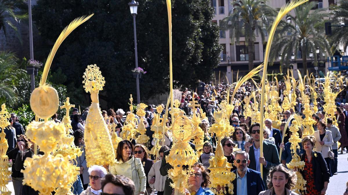 Tributo a la palma blanca