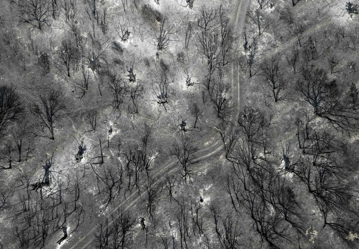 Superficie quemada por el incendio de Larouco, en Ourense.