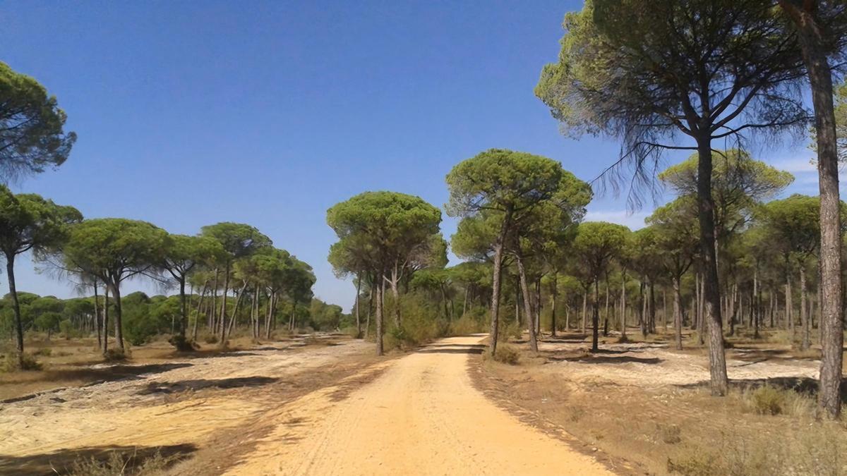 Andalucía impulsa la "mayor inversión" a nivel nacional en la recuperación de las vías pecuarias.