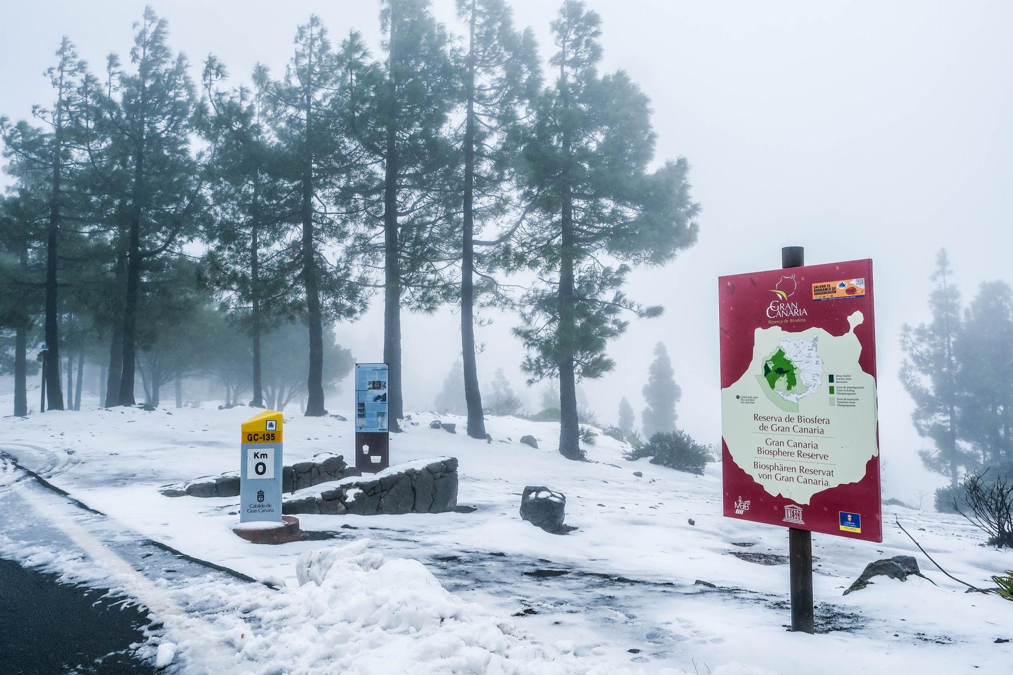 Nieve en la cumbre de Gran Canaria (15/03/2022)