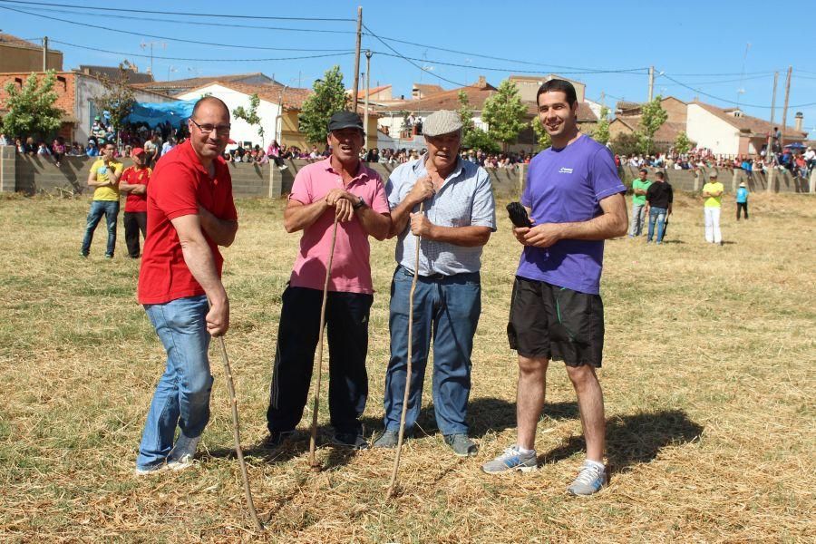 Espantes en Guarrate (II)