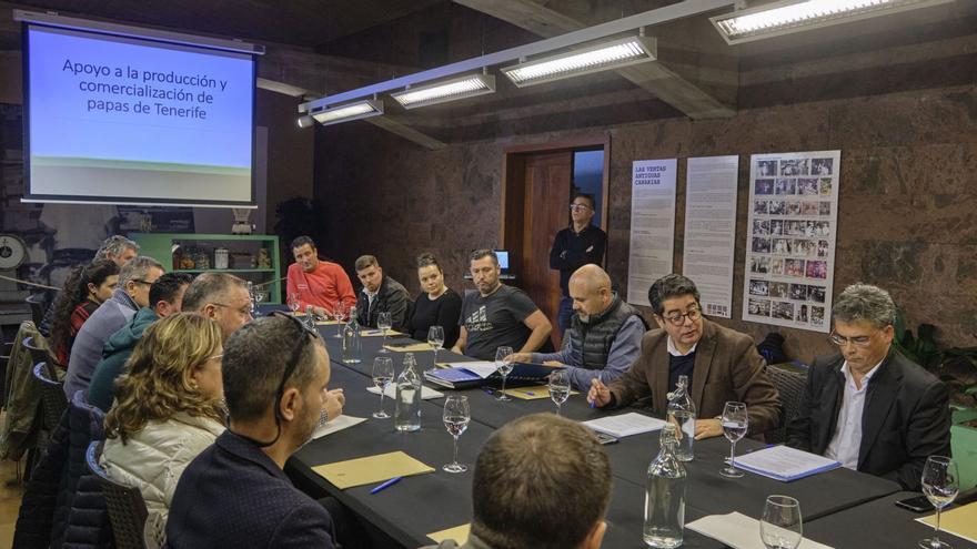 555,000 euros to minimize the damage of the moth plague in the Tenerife potato