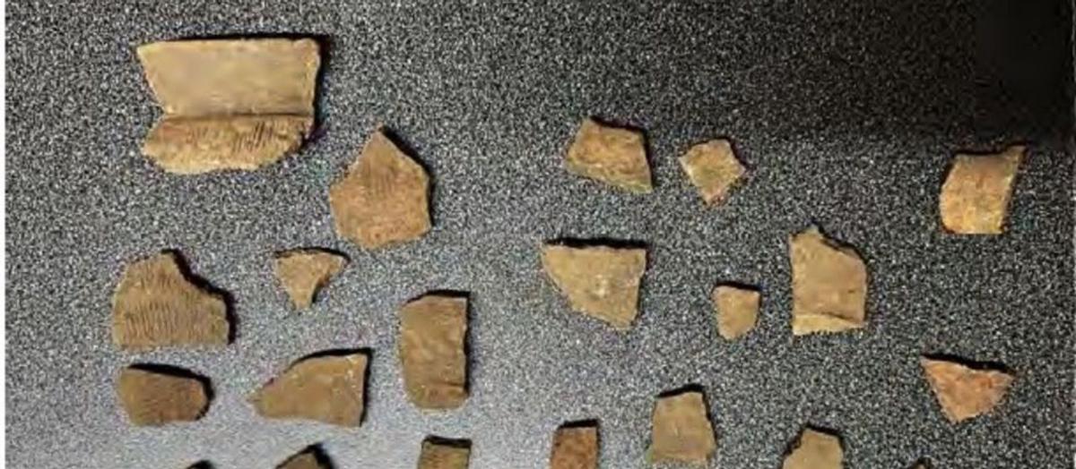 Cerámicas medievales halladas en el sondeo. |