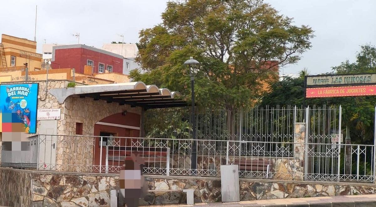 La tienda solidaria de Cáritas en el parque de Las Mimosas es el punto de intercambio en Ingenio de libros por alimentos.