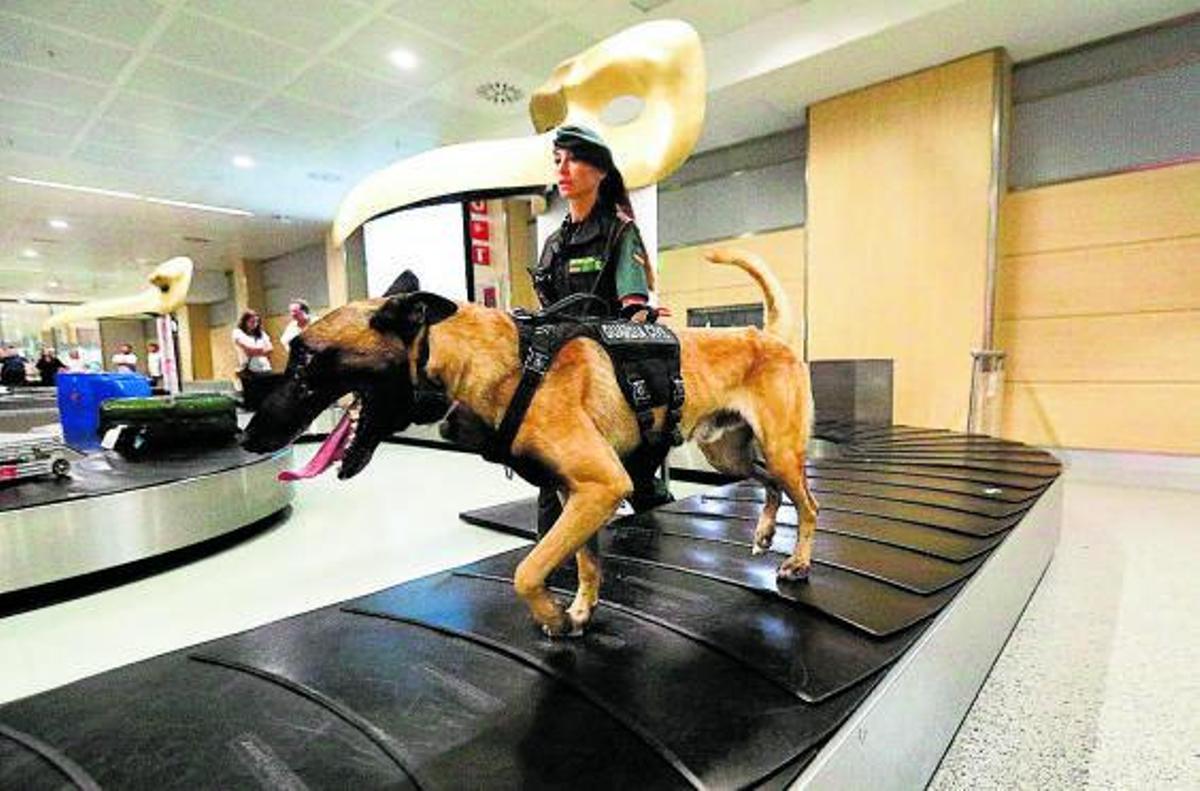 Los dos agentes de la Guardia Civil patrullan por el aeropuerto de es Codolar. | TONI ESCOBAR