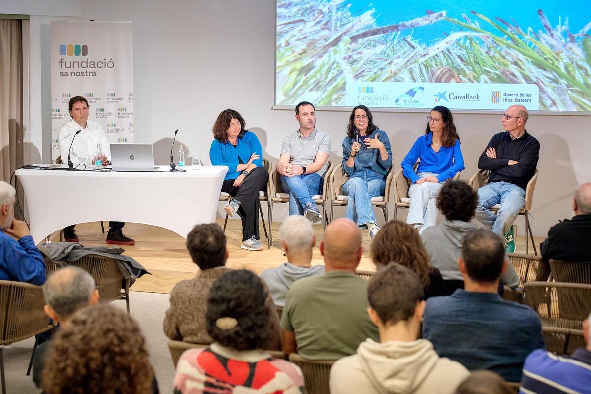 Expertos abogan por coordinar esfuerzos para la conservación de la biodiversidad marina