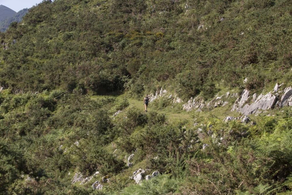 Rutas por Asturias: foces del río Pendón