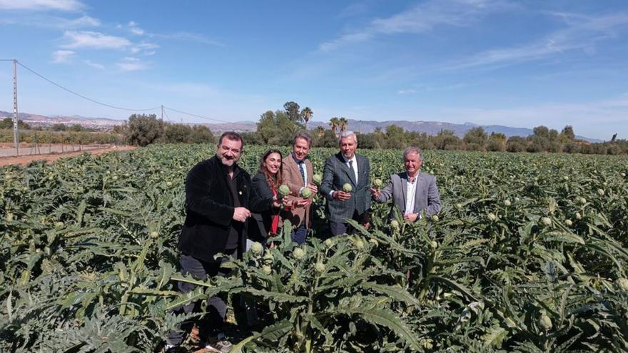 La consejera Rubira en el inicio de la segunda cosecha en Lorca.