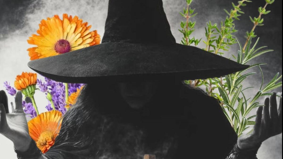 Cartel de la XXIV feria de brujería, magia y plantas medicinales del Moncayo