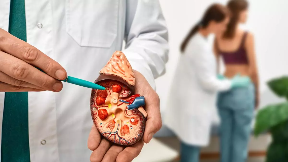 En 2040 la enfermedad renal crónica será la quinta causa de mortalidad en el mundo