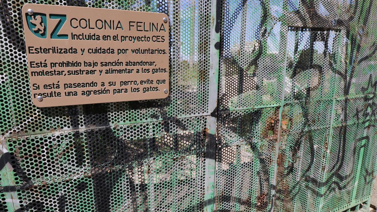 Acceso a la colonia felina de los depósitos de Pignatelli.