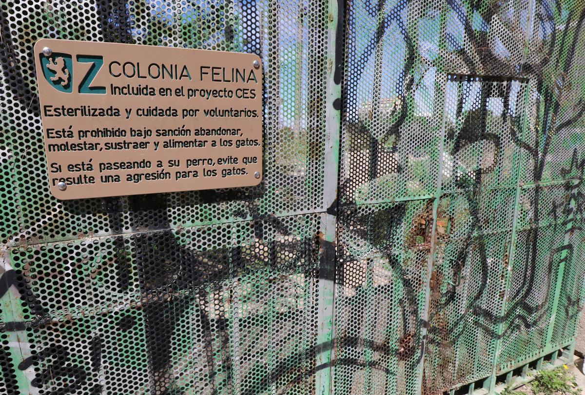 Acceso a la colonia felina de los depósitos de Pignatelli.