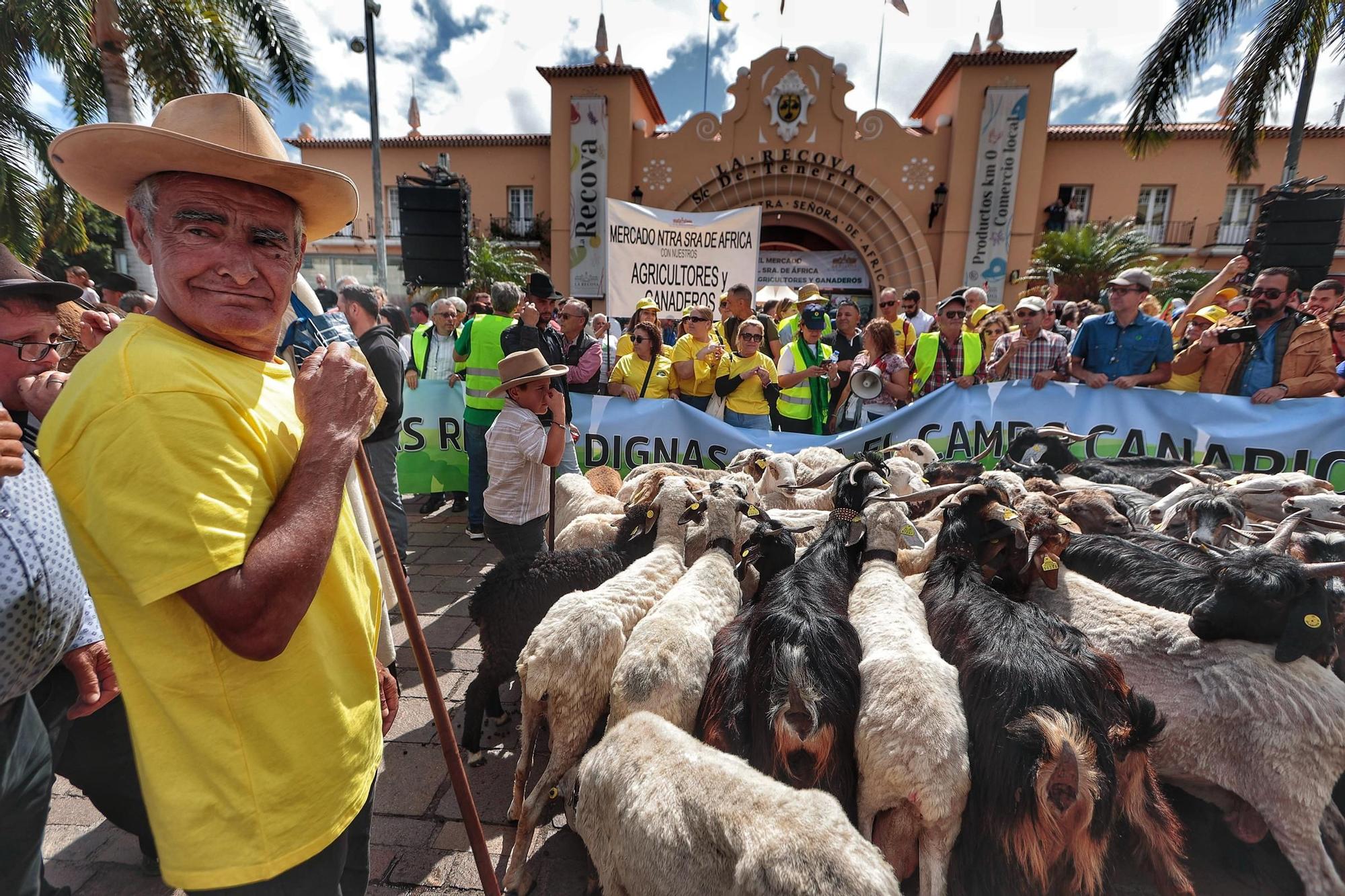 El sector agrario protesta en las calles de Santa Cruz