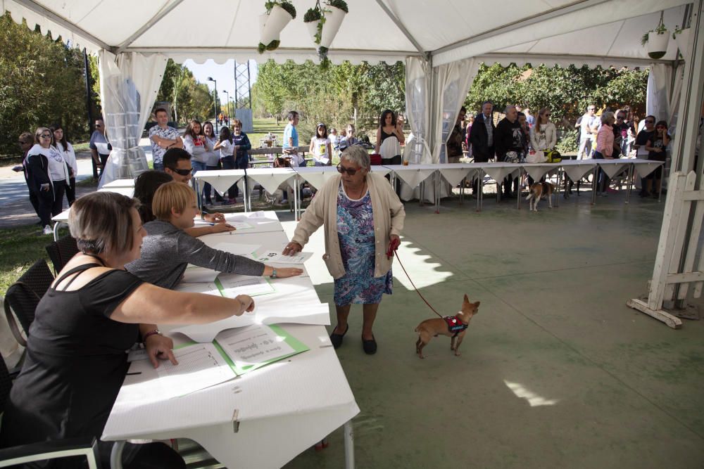 Zamora y sus perros "más guapos"