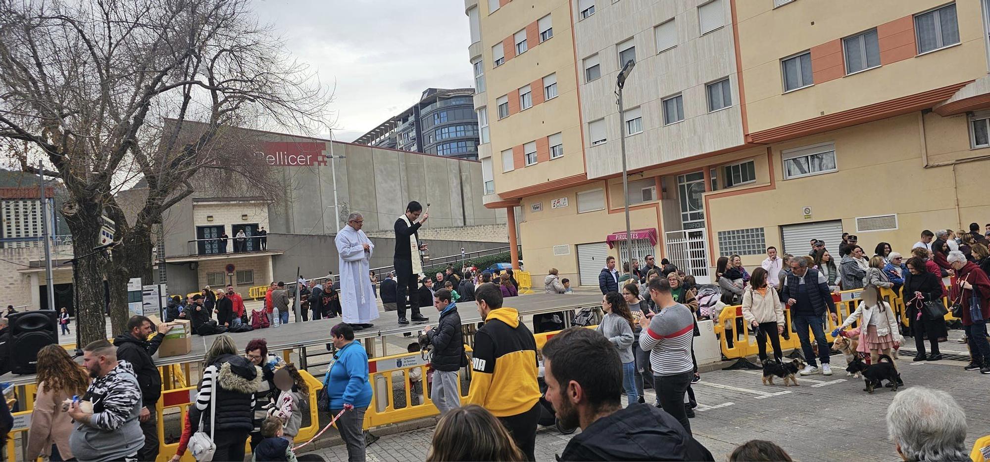 Las fotos de la fiesta de Sant Antoni en Tavernes de la Valldigna