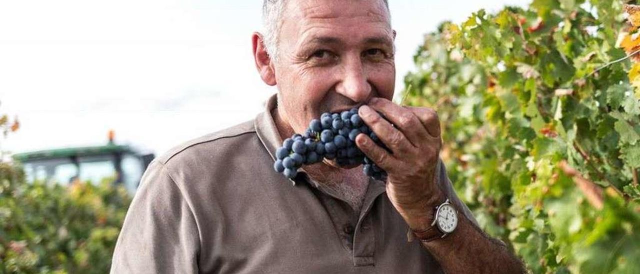 Cesco con unas uvas tintas en su finca en los Picos de Europa. // FDV