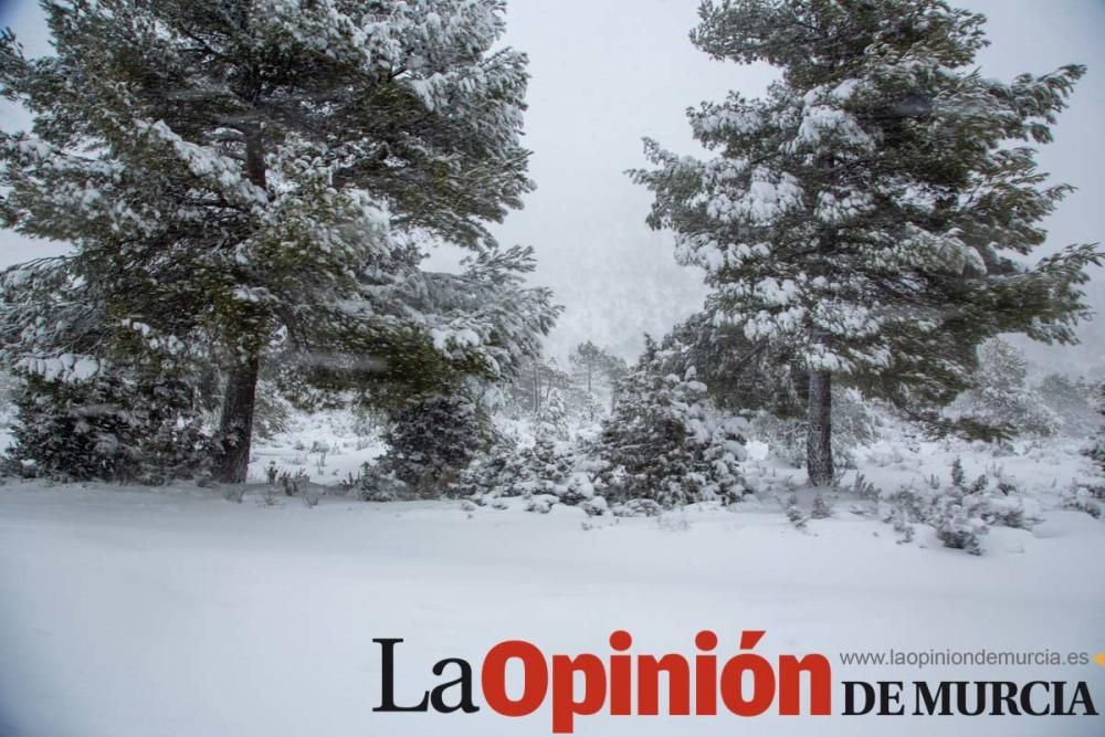 La nieve cubre de blanco el Campo de San Juan