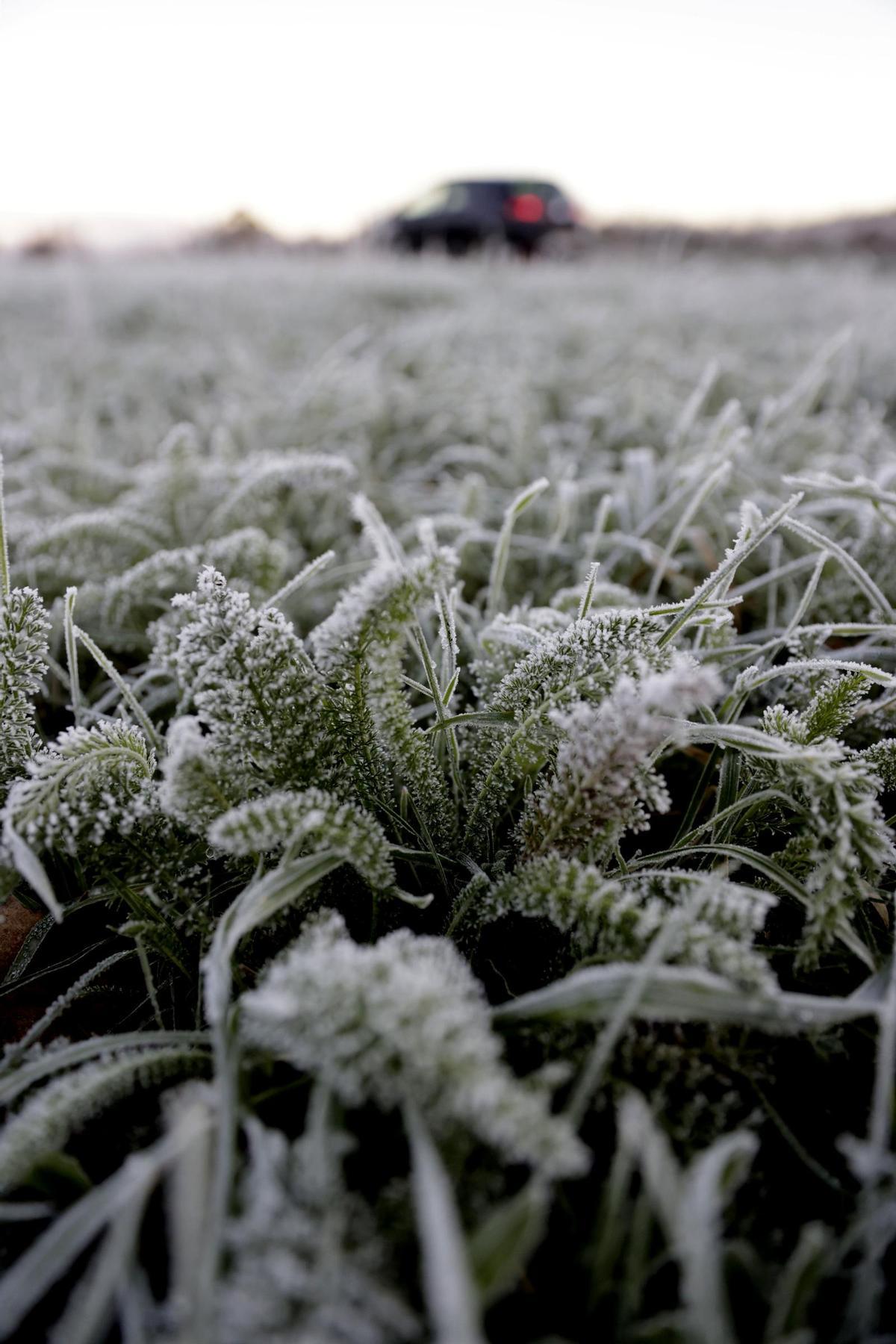 Las temperaturas seguirán siendo gélidas durante la madrugada del martes
