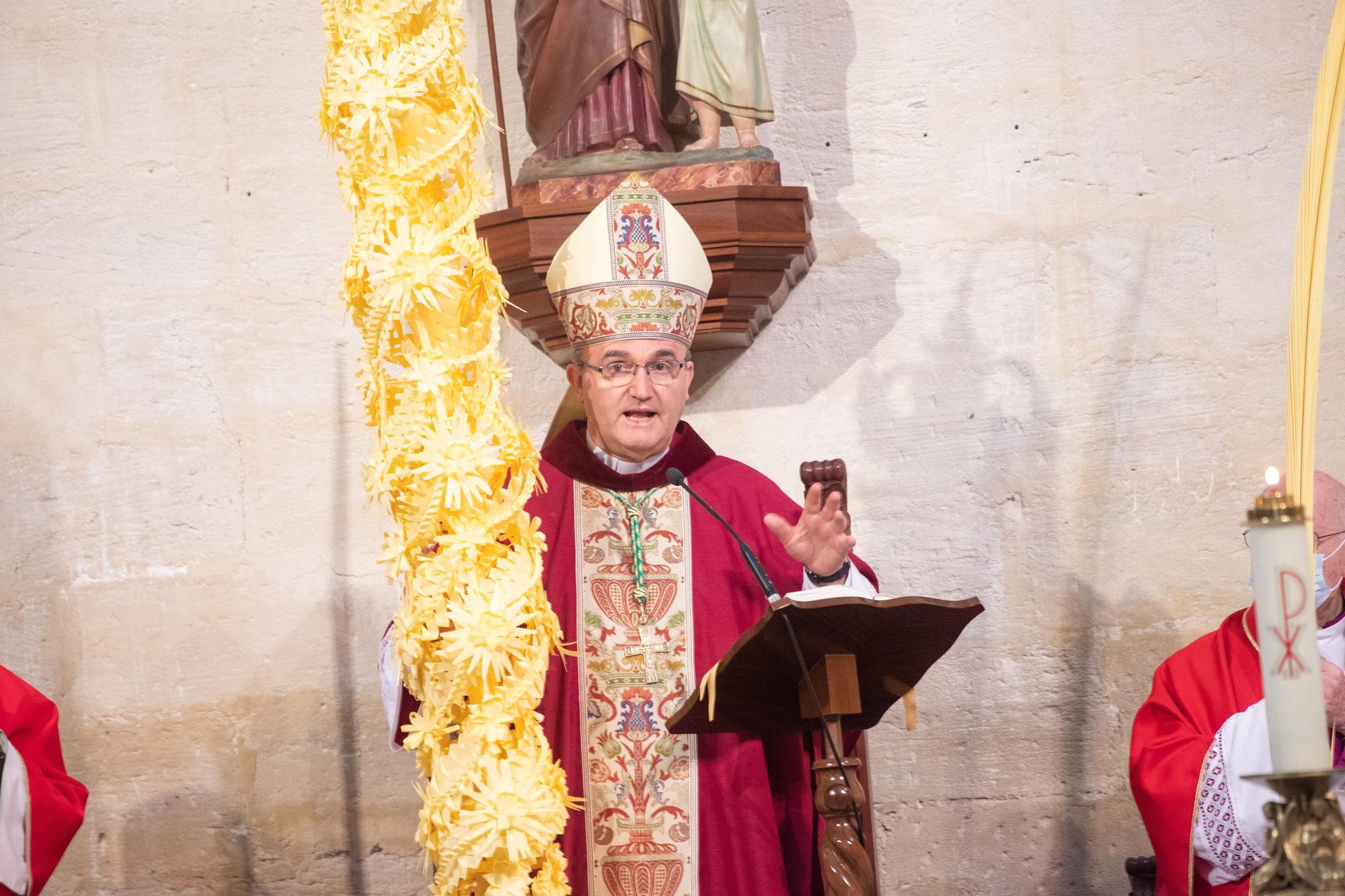 El obispo Munilla preside la procesión de las Palmas en Orihuela