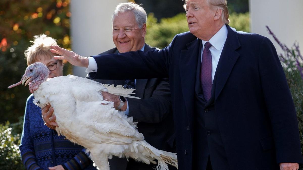 Trump y pavo