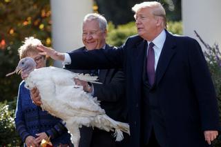 Trump cumple con la tradición e indulta a dos pavos en Acción de Gracias