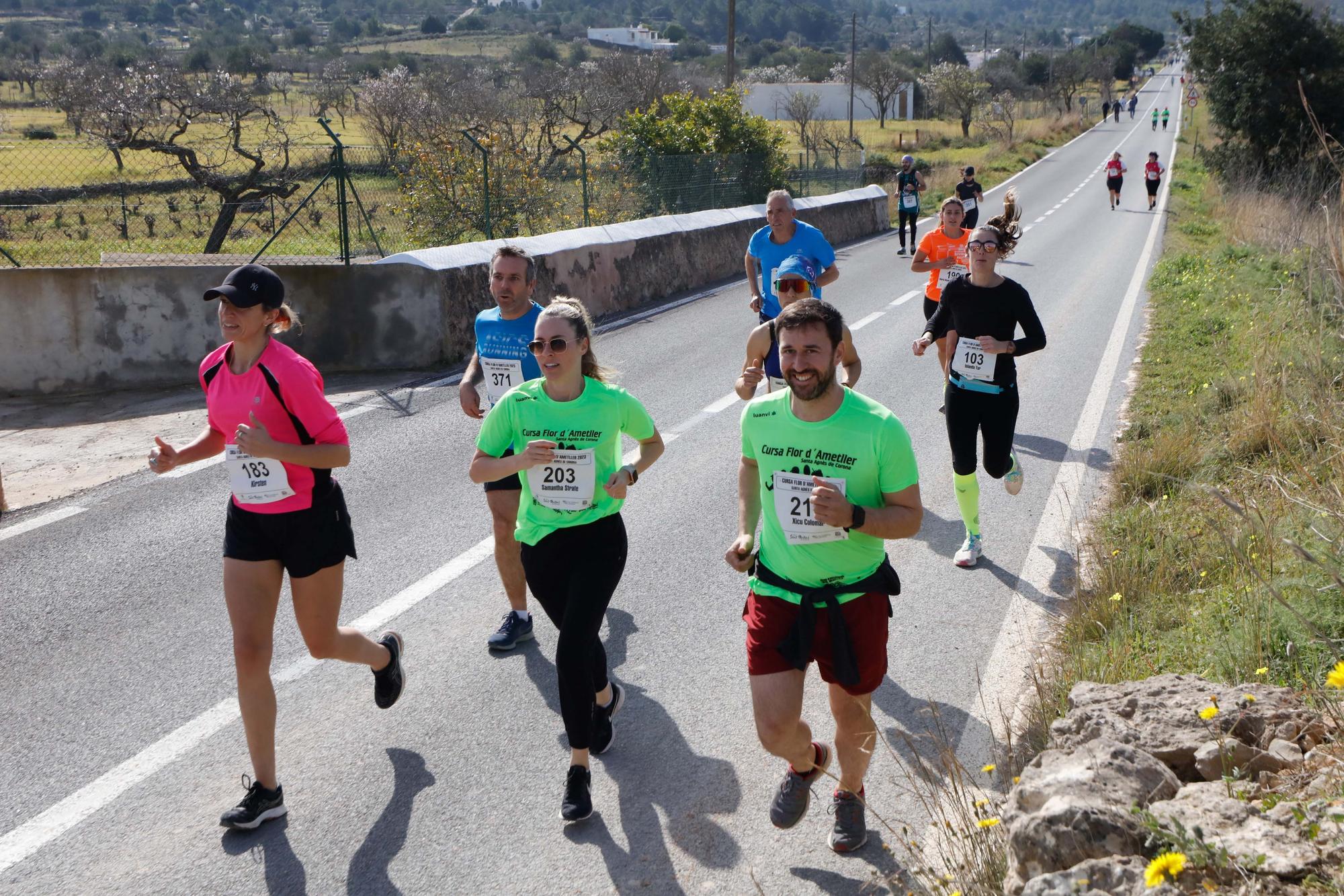 Galería de imágenes de los 250 atletas participantes en la Cursa de la Flor de l’Ametller en Ibiza