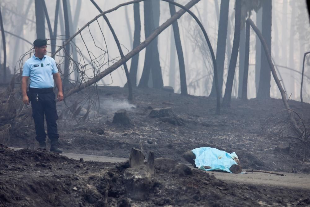 Incendi a Portugal