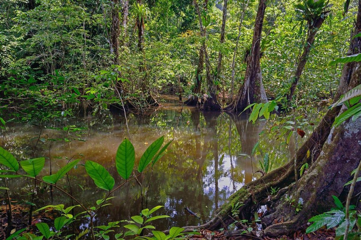 Chocó