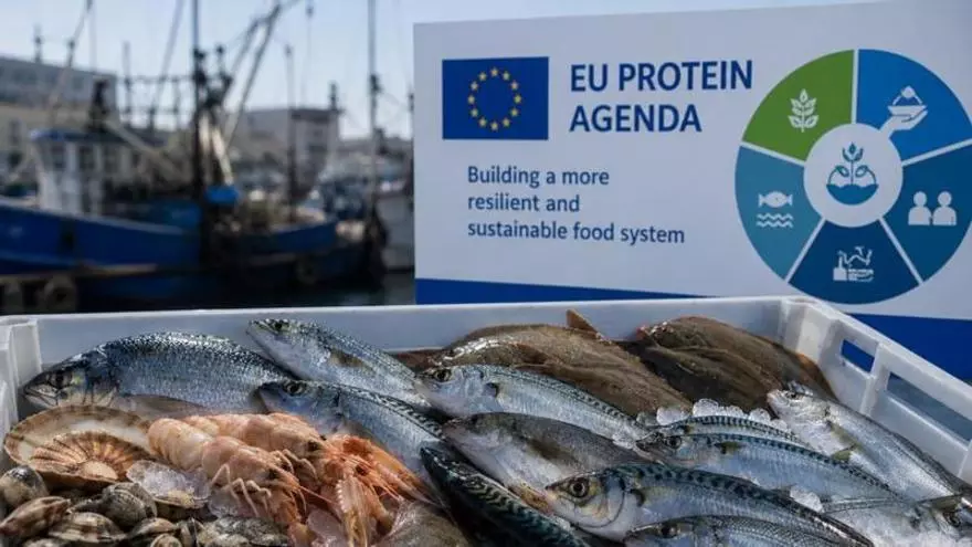 La pesca lamenta la exclusión de los productos del mar del Plan de la UE sobre Proteínas