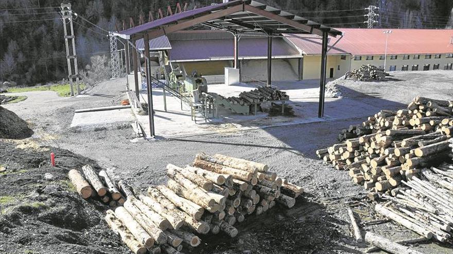 Aragón resucita el interés por la biomasa