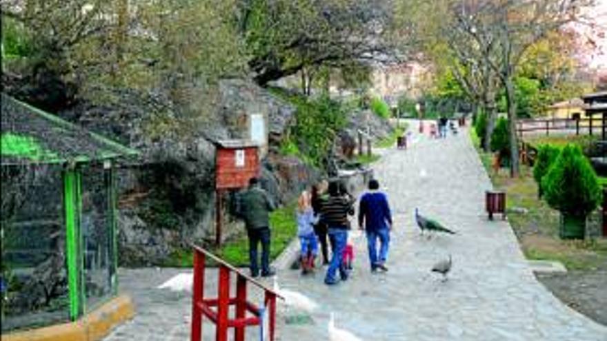 Medio Ambiente costeará la nueva adecuación del parque Los Pinos de Plasencia