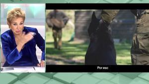 Ana Rosa, el vídeo de Podemos y el perro.