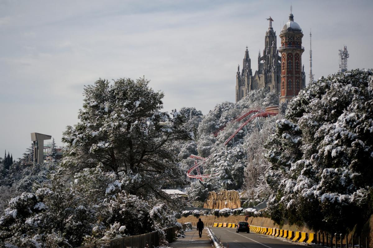 La nieve llega a Barcelona: Collserola, cubierta de blanco