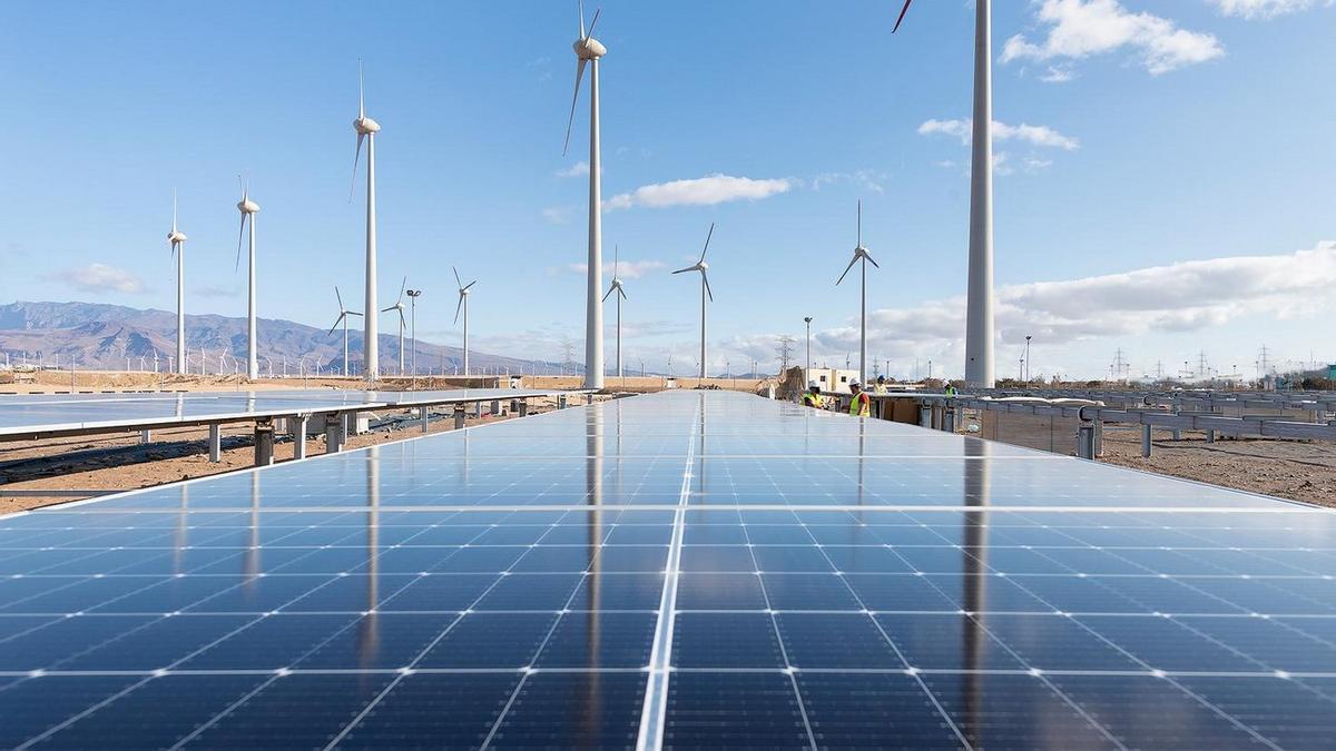 Imagen de una instalación de plantas fotovoltaicas.