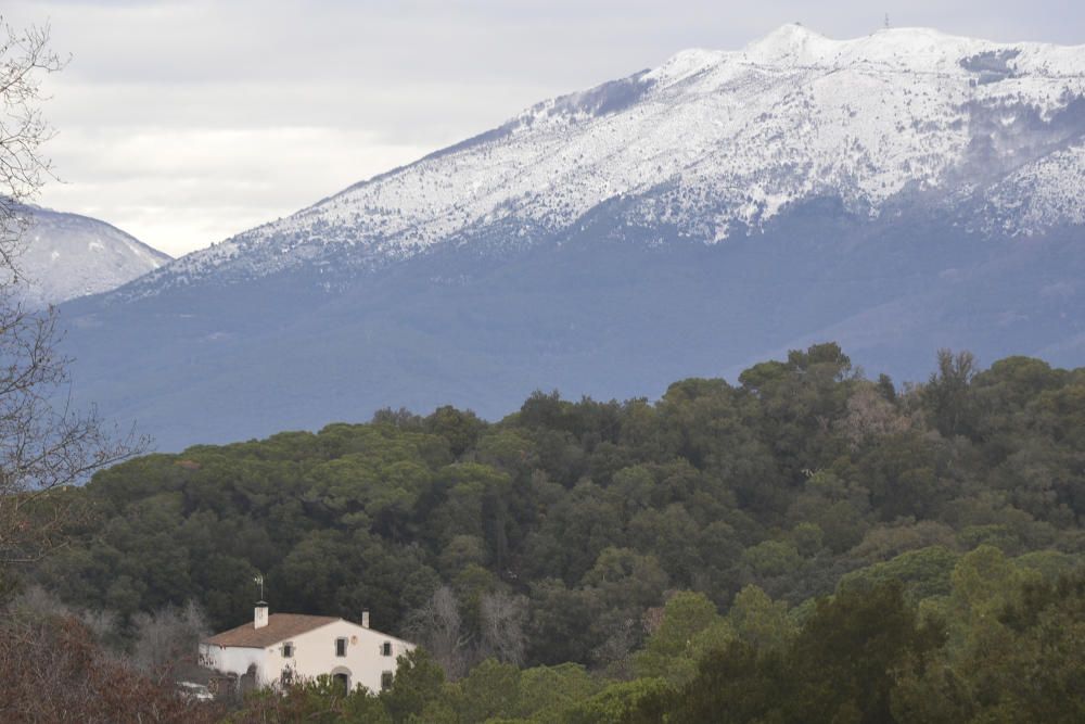 Parc natural. Matí d’hivern agradable amb canvi de temps i una aparició llunyana d’un Montseny enfarinat. Mentrestant, el dia es llevava.