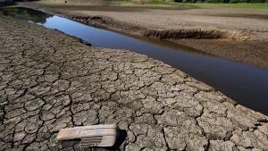 La sequía afecta al Reino Unido. Reuters