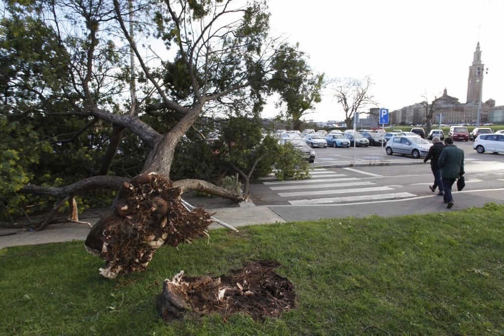 Efectos del temporal en Gijón