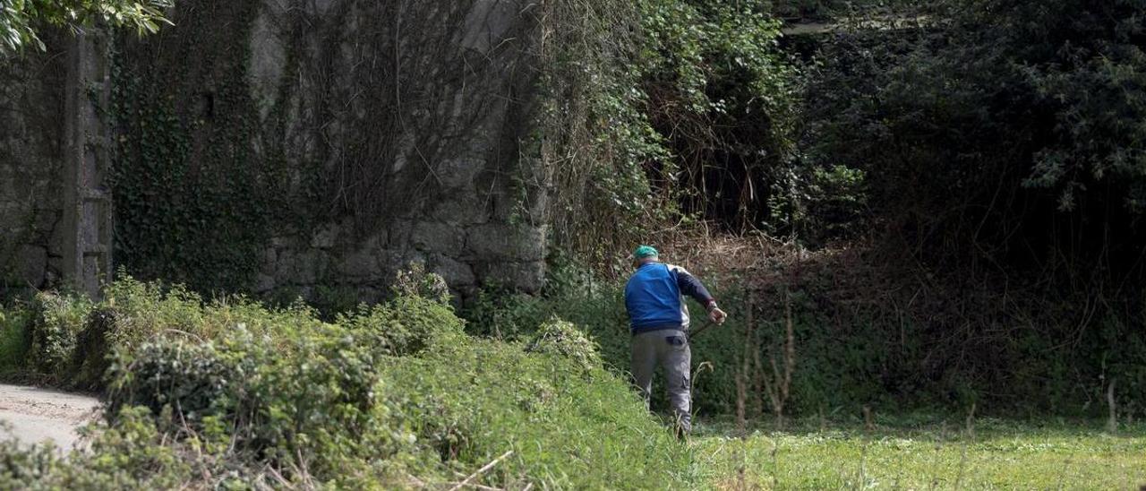 Un hombre trabaja en una finca de una aldea de  Lugo en semiabandono.