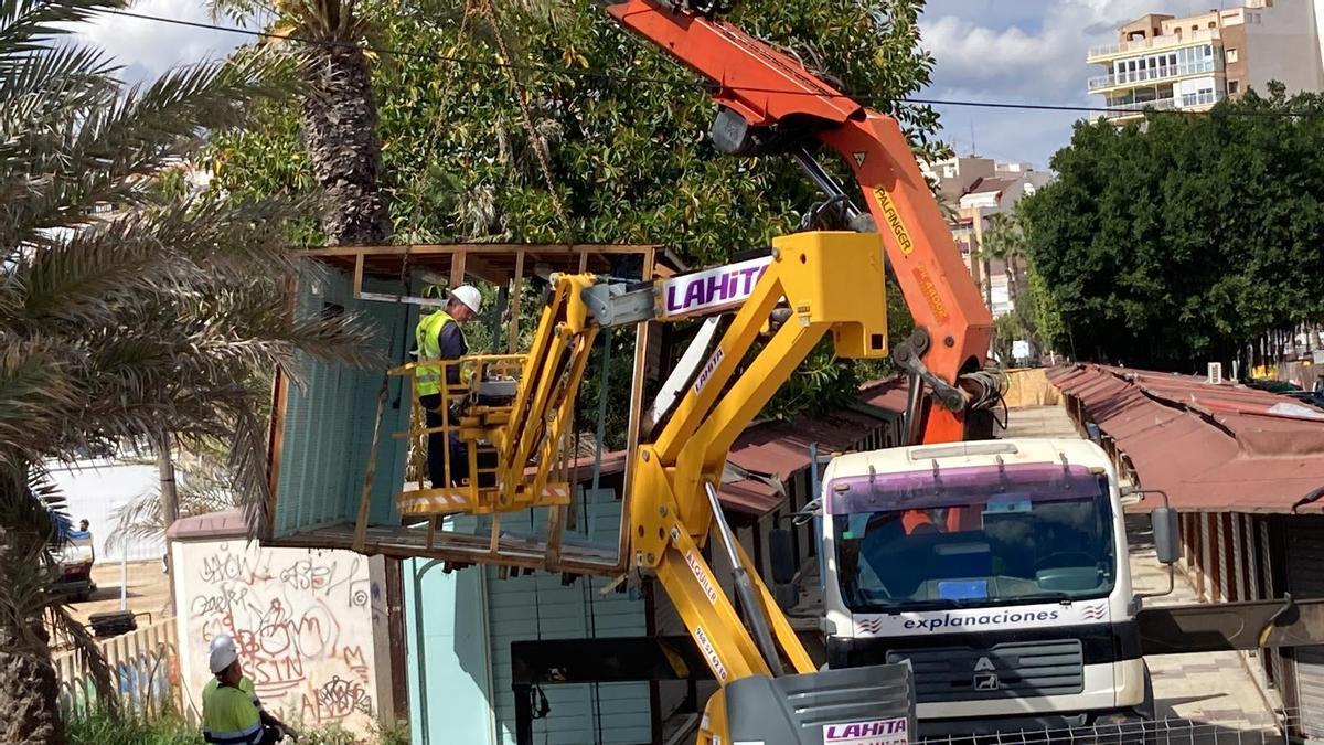 Así se están retirando las casetas de los hippies de Torrevieja para su reubicación provisional en la vía verde de la avenida de la Estación
