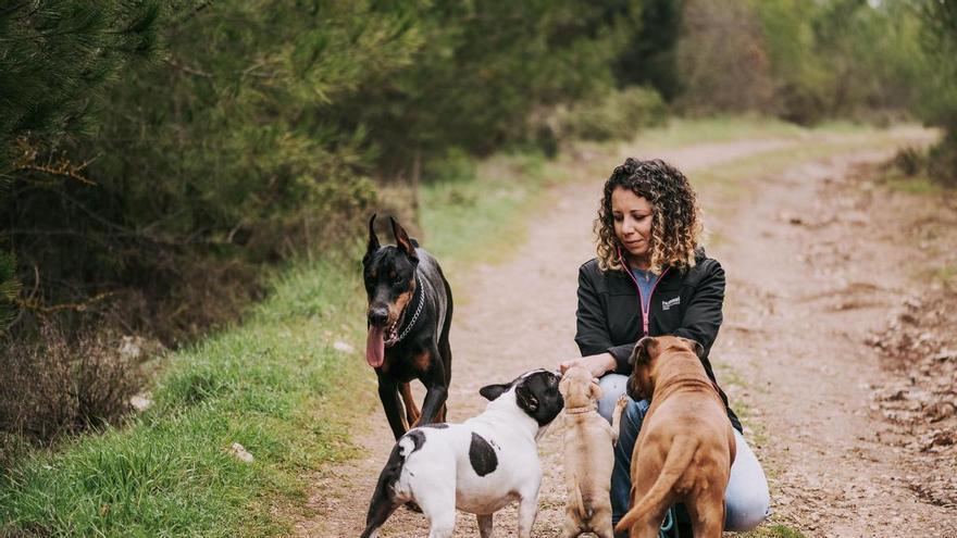 El consejo infalible del entrenador canino Alberto Sanz: "Ll