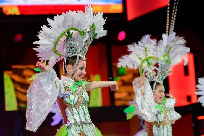 Concurso de Comparsas Infantiles del Carnaval  2019  | 17/02/2019 | Fotógrafo: Tony Hernández