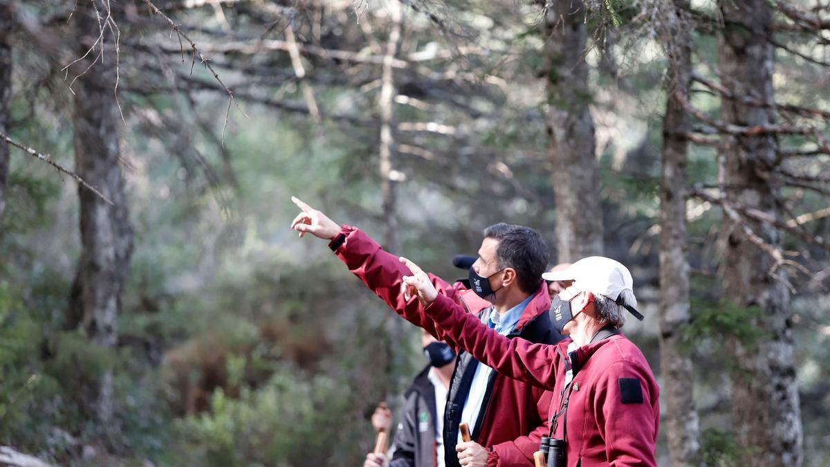 El presidente Sánchez visita la Sierra de las Nieves