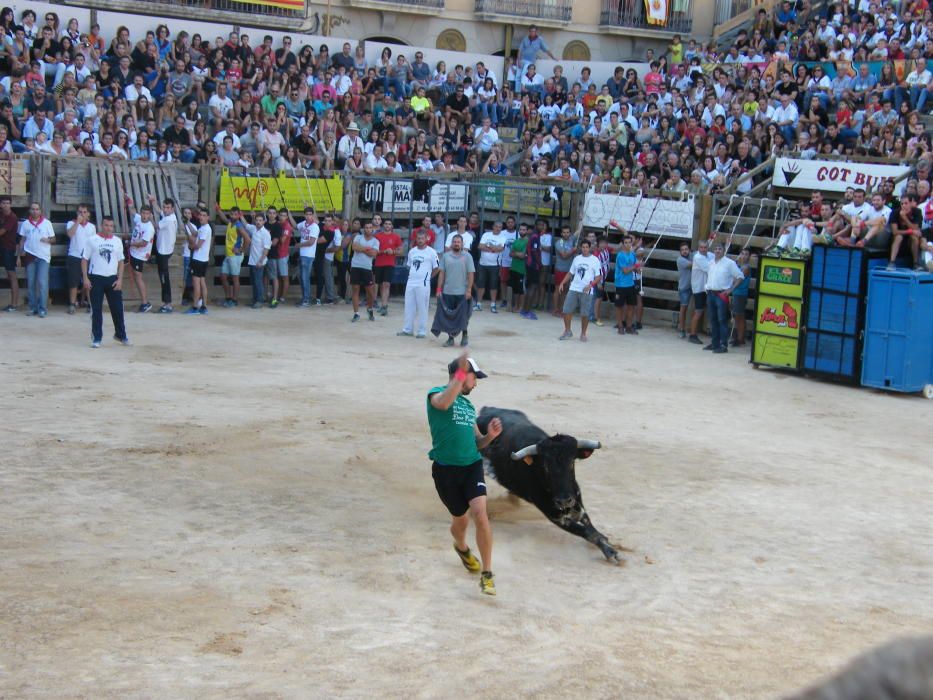 Corre de bou de Cardona (dilluns 12 de setembre)