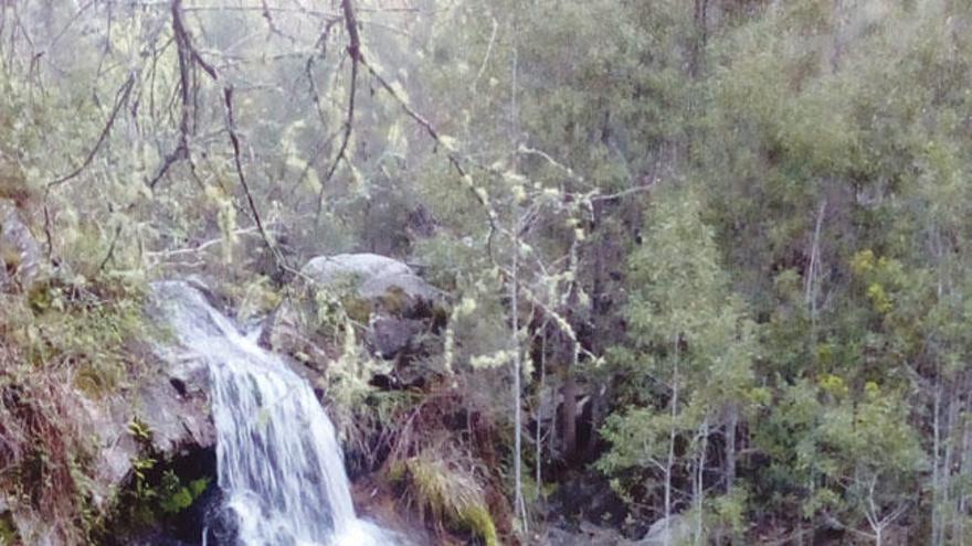 El agua y la roca