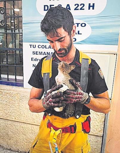 Complicado rescate de un gato en el interior de un coche en Palma.