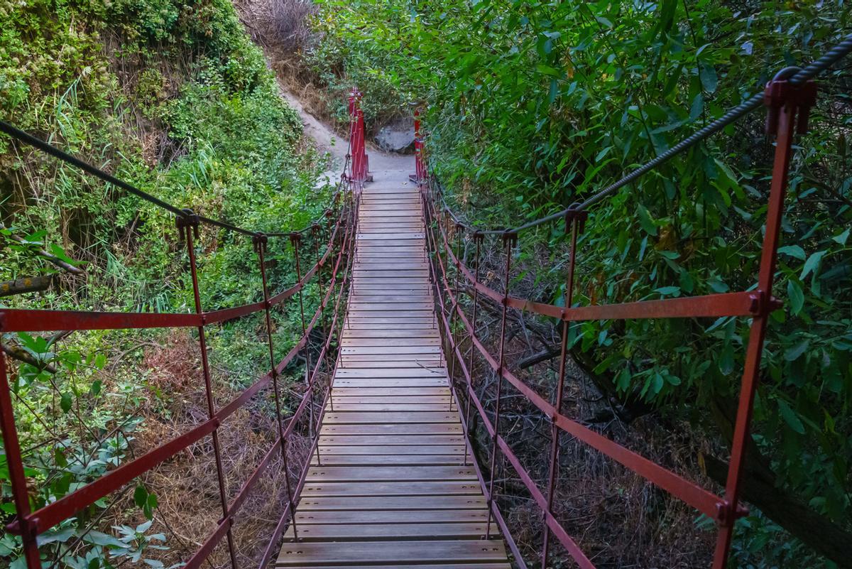Un puente colgante escondido en Granada.