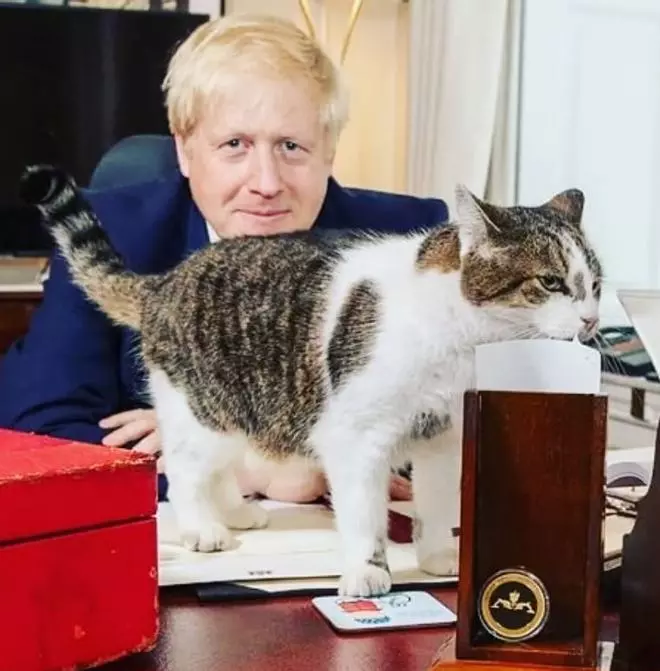 Larry, el gato funcionario que trabaja para el gobierno británico