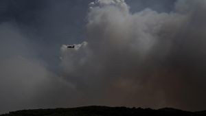 El vocabulari que generen les flames